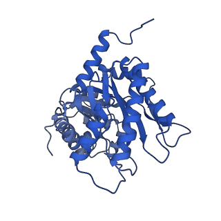 8743_5vy5_B_v1-5
Rabbit muscle aldolase using 200keV