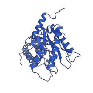 8743_5vy5_B_v1-6
Rabbit muscle aldolase using 200keV