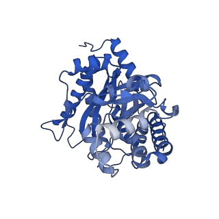 8743_5vy5_C_v1-5
Rabbit muscle aldolase using 200keV