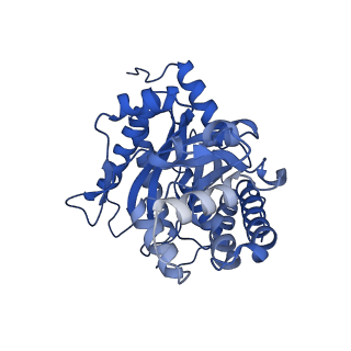 8743_5vy5_C_v1-6
Rabbit muscle aldolase using 200keV