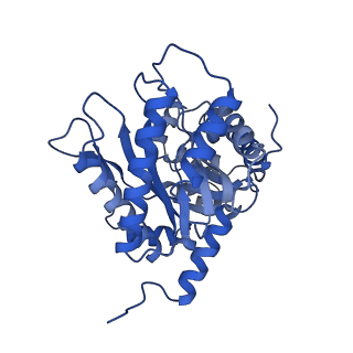 8743_5vy5_D_v1-5
Rabbit muscle aldolase using 200keV