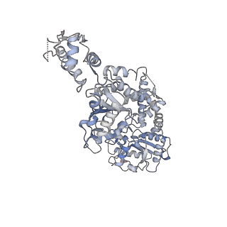 8746_5vya_A_v1-0
S. cerevisiae Hsp104:casein complex, Extended Conformation