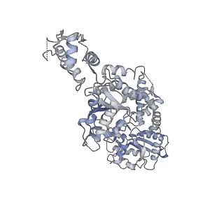 8746_5vya_A_v2-1
S. cerevisiae Hsp104:casein complex, Extended Conformation