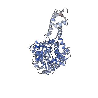 8746_5vya_B_v1-0
S. cerevisiae Hsp104:casein complex, Extended Conformation