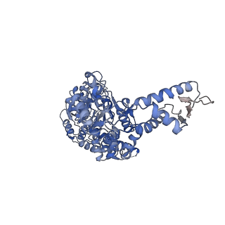 8746_5vya_C_v2-1
S. cerevisiae Hsp104:casein complex, Extended Conformation
