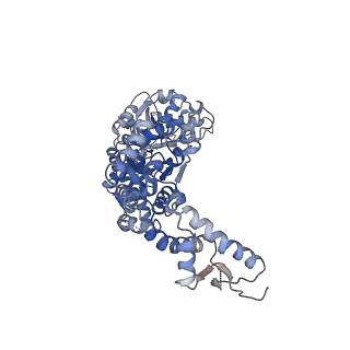 8746_5vya_D_v1-0
S. cerevisiae Hsp104:casein complex, Extended Conformation