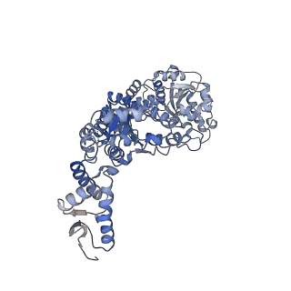 8746_5vya_E_v1-0
S. cerevisiae Hsp104:casein complex, Extended Conformation