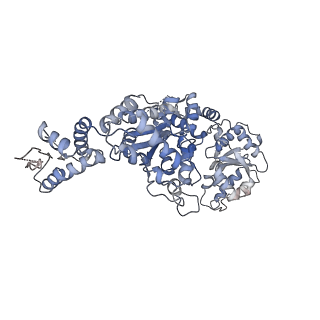 8746_5vya_F_v2-1
S. cerevisiae Hsp104:casein complex, Extended Conformation