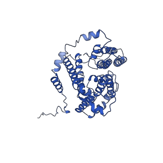 21481_6vz1_A_v1-1
Cryo-EM structure of human diacylglycerol O-acyltransferase 1 complexed with acyl-CoA substrate