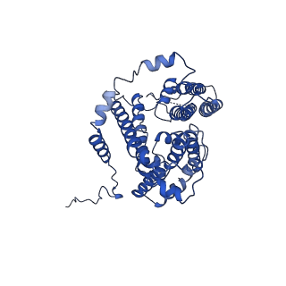 21481_6vz1_A_v1-2
Cryo-EM structure of human diacylglycerol O-acyltransferase 1 complexed with acyl-CoA substrate