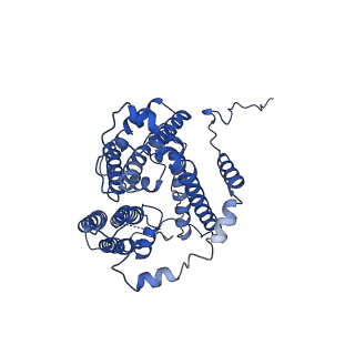 21481_6vz1_B_v1-1
Cryo-EM structure of human diacylglycerol O-acyltransferase 1 complexed with acyl-CoA substrate