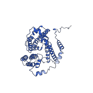 21481_6vz1_B_v1-2
Cryo-EM structure of human diacylglycerol O-acyltransferase 1 complexed with acyl-CoA substrate