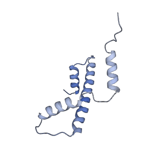 21484_6vz4_A_v1-2
Cryo-EM structure of Sth1-Arp7-Arp9-Rtt102 bound to the nucleosome in ADP Beryllium Fluoride state