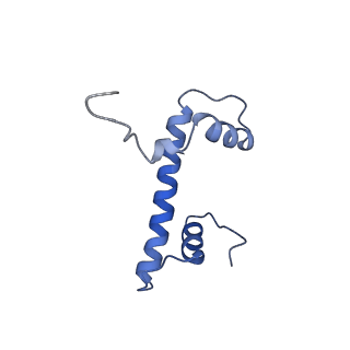 21484_6vz4_B_v1-3
Cryo-EM structure of Sth1-Arp7-Arp9-Rtt102 bound to the nucleosome in ADP Beryllium Fluoride state