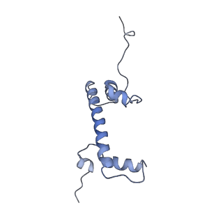 21484_6vz4_C_v1-3
Cryo-EM structure of Sth1-Arp7-Arp9-Rtt102 bound to the nucleosome in ADP Beryllium Fluoride state