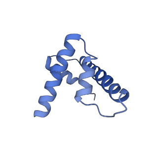 21484_6vz4_D_v1-3
Cryo-EM structure of Sth1-Arp7-Arp9-Rtt102 bound to the nucleosome in ADP Beryllium Fluoride state