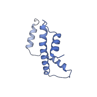 21484_6vz4_E_v1-3
Cryo-EM structure of Sth1-Arp7-Arp9-Rtt102 bound to the nucleosome in ADP Beryllium Fluoride state