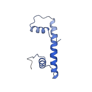 21484_6vz4_F_v1-3
Cryo-EM structure of Sth1-Arp7-Arp9-Rtt102 bound to the nucleosome in ADP Beryllium Fluoride state