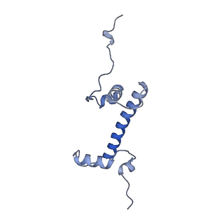 21484_6vz4_G_v1-2
Cryo-EM structure of Sth1-Arp7-Arp9-Rtt102 bound to the nucleosome in ADP Beryllium Fluoride state