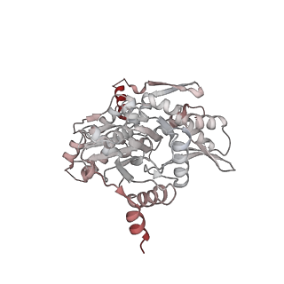 21484_6vz4_L_v1-2
Cryo-EM structure of Sth1-Arp7-Arp9-Rtt102 bound to the nucleosome in ADP Beryllium Fluoride state