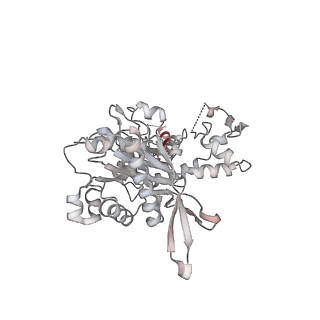 21484_6vz4_M_v1-2
Cryo-EM structure of Sth1-Arp7-Arp9-Rtt102 bound to the nucleosome in ADP Beryllium Fluoride state