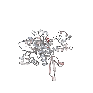 21484_6vz4_M_v1-3
Cryo-EM structure of Sth1-Arp7-Arp9-Rtt102 bound to the nucleosome in ADP Beryllium Fluoride state