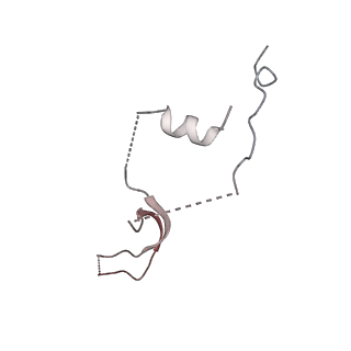 21484_6vz4_N_v1-3
Cryo-EM structure of Sth1-Arp7-Arp9-Rtt102 bound to the nucleosome in ADP Beryllium Fluoride state