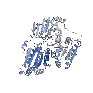 21487_6vz8_D_v1-1
Arabidopsis thaliana acetohydroxyacid synthase complex with valine bound