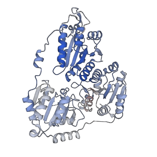 21487_6vz8_E_v1-1
Arabidopsis thaliana acetohydroxyacid synthase complex with valine bound