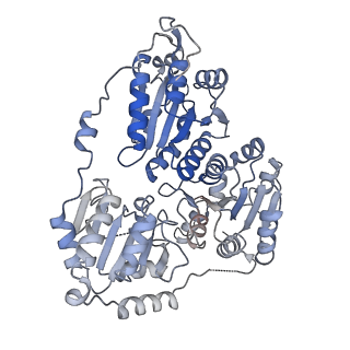 21487_6vz8_E_v1-2
Arabidopsis thaliana acetohydroxyacid synthase complex with valine bound