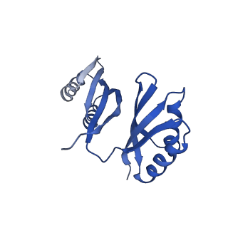 21487_6vz8_F_v1-2
Arabidopsis thaliana acetohydroxyacid synthase complex with valine bound