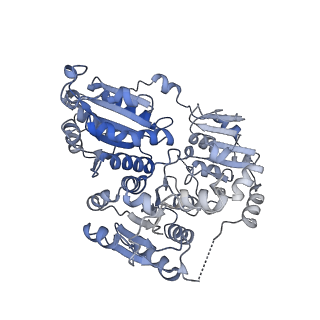21487_6vz8_H_v1-1
Arabidopsis thaliana acetohydroxyacid synthase complex with valine bound