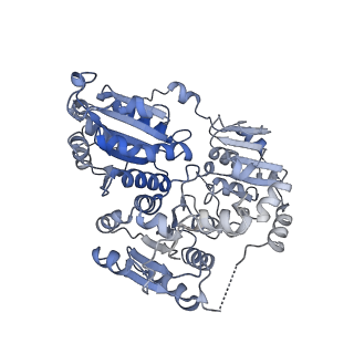 21487_6vz8_H_v1-2
Arabidopsis thaliana acetohydroxyacid synthase complex with valine bound