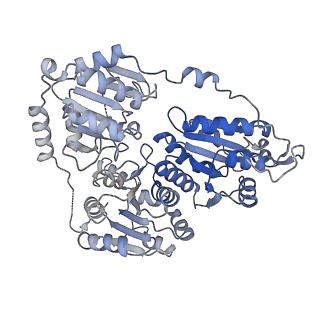 21487_6vz8_I_v1-1
Arabidopsis thaliana acetohydroxyacid synthase complex with valine bound