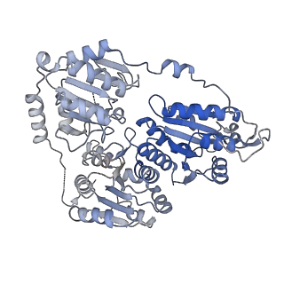 21487_6vz8_I_v1-2
Arabidopsis thaliana acetohydroxyacid synthase complex with valine bound