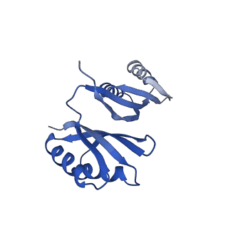 21487_6vz8_J_v1-2
Arabidopsis thaliana acetohydroxyacid synthase complex with valine bound