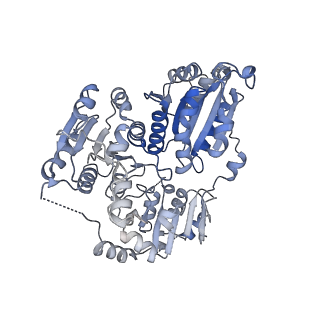 21487_6vz8_L_v1-1
Arabidopsis thaliana acetohydroxyacid synthase complex with valine bound