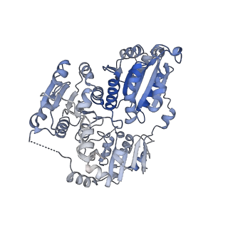 21487_6vz8_L_v1-2
Arabidopsis thaliana acetohydroxyacid synthase complex with valine bound