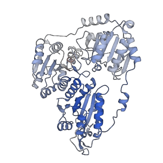21487_6vz8_M_v1-1
Arabidopsis thaliana acetohydroxyacid synthase complex with valine bound