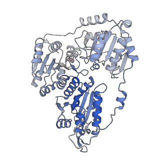 21487_6vz8_M_v1-2
Arabidopsis thaliana acetohydroxyacid synthase complex with valine bound