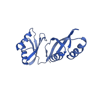 21487_6vz8_O_v1-2
Arabidopsis thaliana acetohydroxyacid synthase complex with valine bound