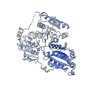 21487_6vz8_P_v1-2
Arabidopsis thaliana acetohydroxyacid synthase complex with valine bound