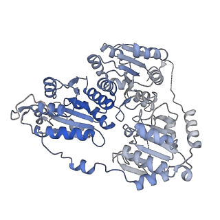 21487_6vz8_Q_v1-1
Arabidopsis thaliana acetohydroxyacid synthase complex with valine bound