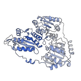 21487_6vz8_Q_v1-2
Arabidopsis thaliana acetohydroxyacid synthase complex with valine bound