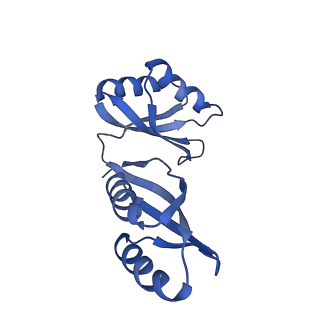 21487_6vz8_S_v1-2
Arabidopsis thaliana acetohydroxyacid synthase complex with valine bound