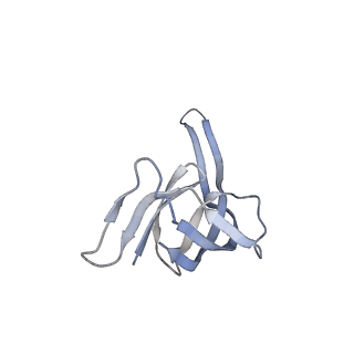 21494_6vzj_0_v1-1
Escherichia coli transcription-translation complex A1 (TTC-A1) containing mRNA with a 15 nt long spacer, fMet-tRNAs at E-site and P-site, and lacking transcription factor NusG