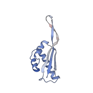 21494_6vzj_1_v1-1
Escherichia coli transcription-translation complex A1 (TTC-A1) containing mRNA with a 15 nt long spacer, fMet-tRNAs at E-site and P-site, and lacking transcription factor NusG