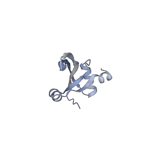 21494_6vzj_2_v1-1
Escherichia coli transcription-translation complex A1 (TTC-A1) containing mRNA with a 15 nt long spacer, fMet-tRNAs at E-site and P-site, and lacking transcription factor NusG