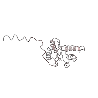 21494_6vzj_9_v1-1
Escherichia coli transcription-translation complex A1 (TTC-A1) containing mRNA with a 15 nt long spacer, fMet-tRNAs at E-site and P-site, and lacking transcription factor NusG