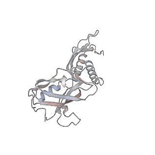 21494_6vzj_AC_v1-1
Escherichia coli transcription-translation complex A1 (TTC-A1) containing mRNA with a 15 nt long spacer, fMet-tRNAs at E-site and P-site, and lacking transcription factor NusG